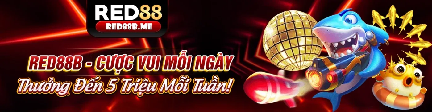 Đấu trường đá gà trực tiếp S999